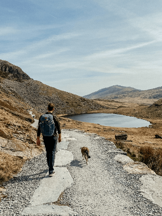 How to climb snowdon with a dog